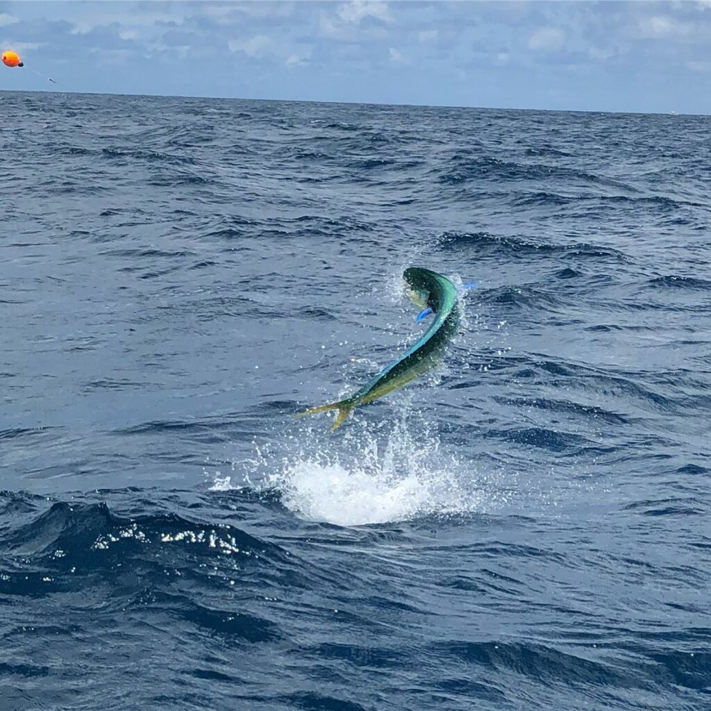 Reel Candy sportfishing yacht offshore Jupiter Florida